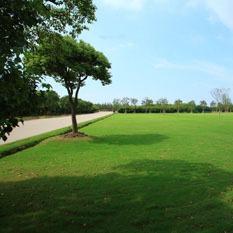 綠(lv)化(hua)施工 V