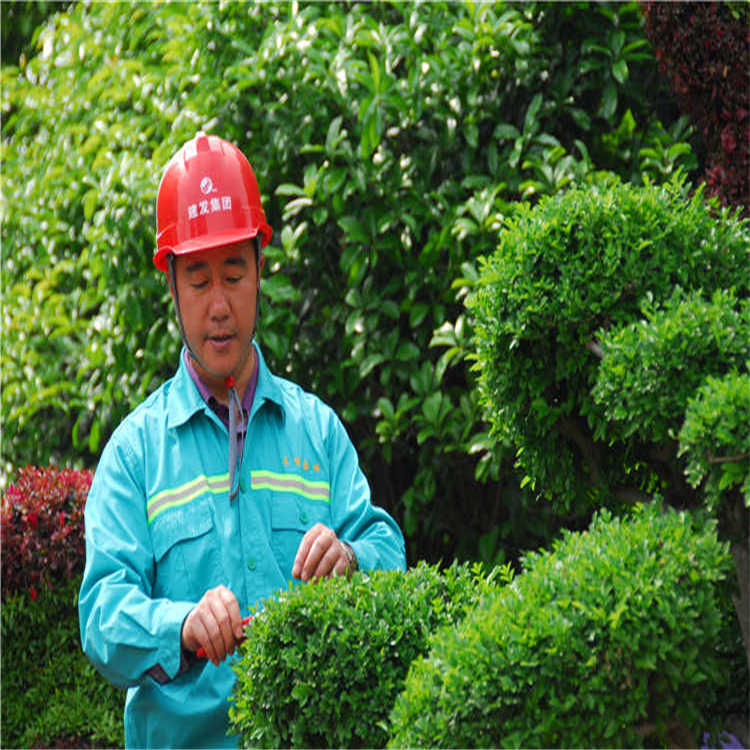 綠(lv)化(hua)養護(hu) 6