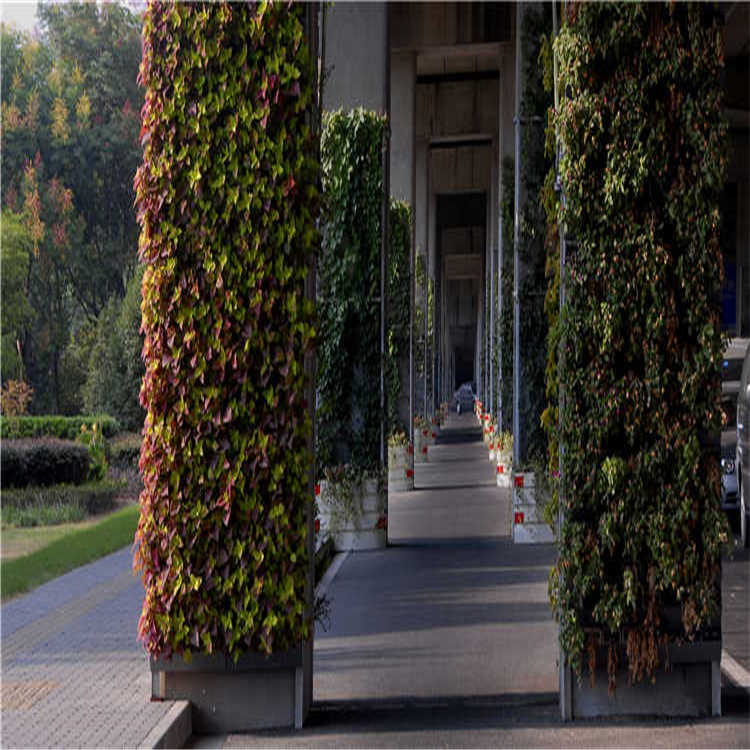 景(jing)點(dian)擺蘤 19