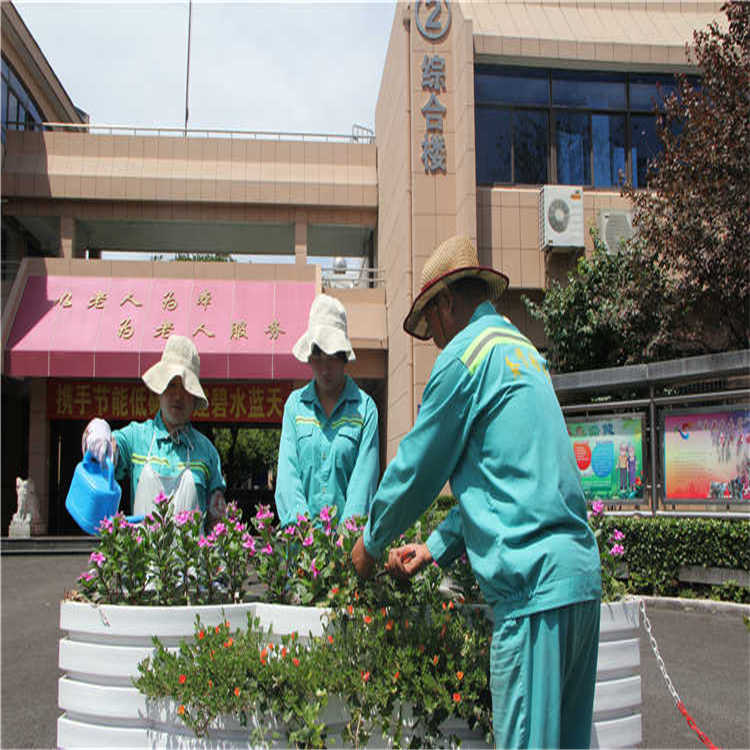 綠(lv)化(hua)養護(hu) 8