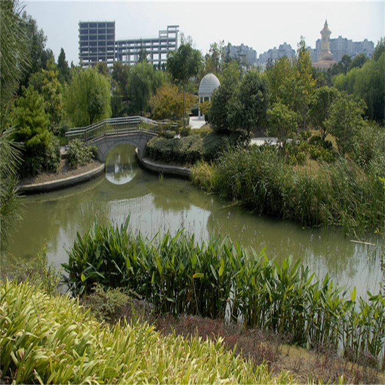 綠(lv)化施(shi)工(gong) 20