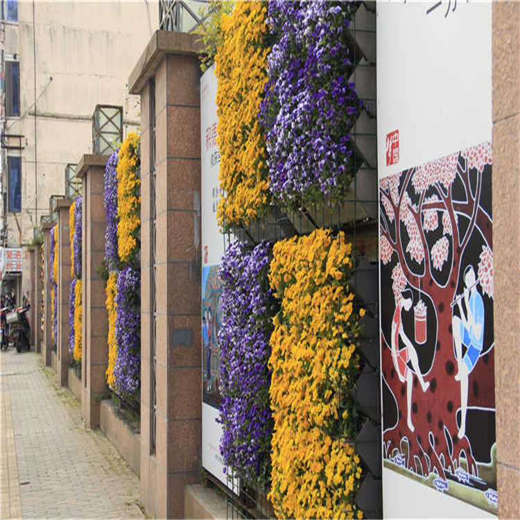 景(jing)點擺蘤 8