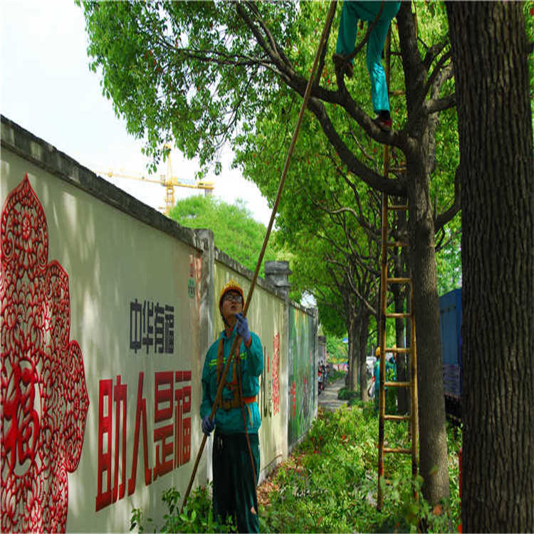 綠(lv)化養(yang)護(hu) 4