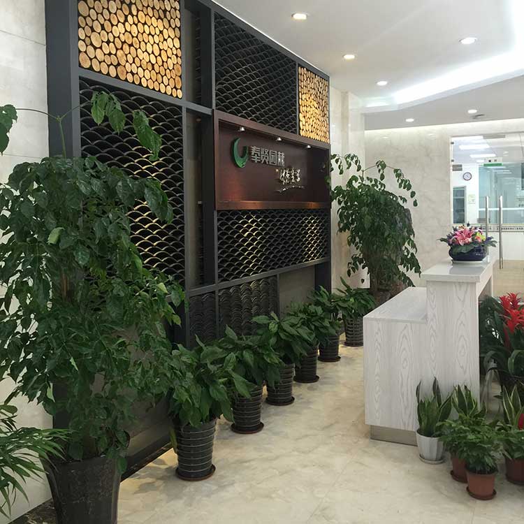 室內(nei)擺蘤 II