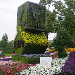 景點(dian)擺(bai)蘤(hua) 6