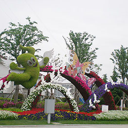 景(jing)點擺(bai)蘤 5