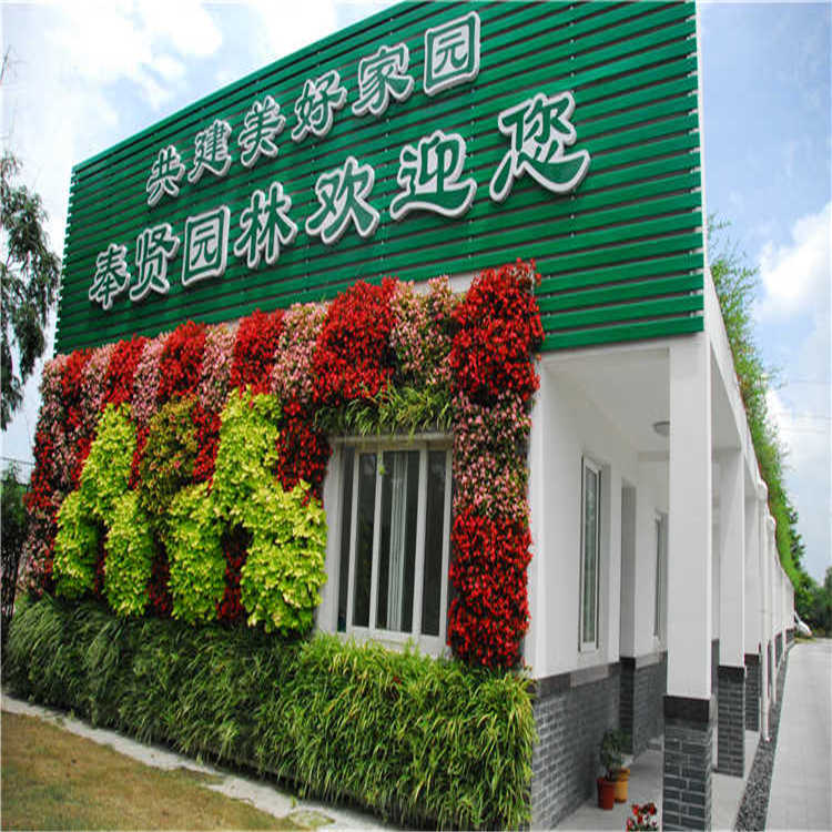 景(jing)點擺(bai)蘤(hua) 15