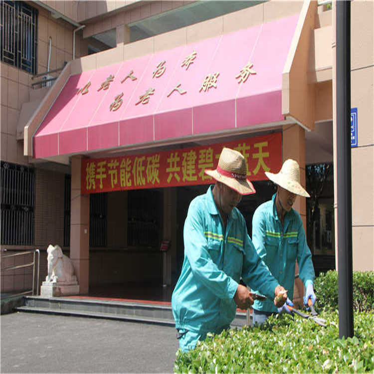 綠(lv)化養護(hu) 8