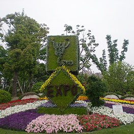 景點(dian)擺蘤 7