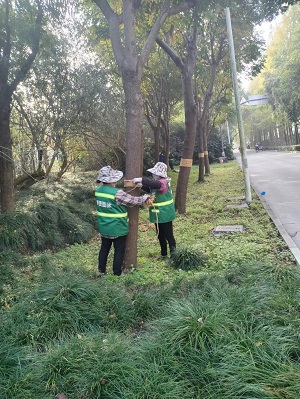 圖(tu)片1.jpg 圖片1.jpg