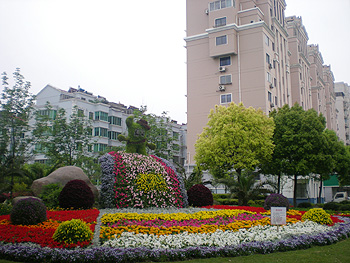 58ae70d7303e4.jpg ywfw8_6.jpg