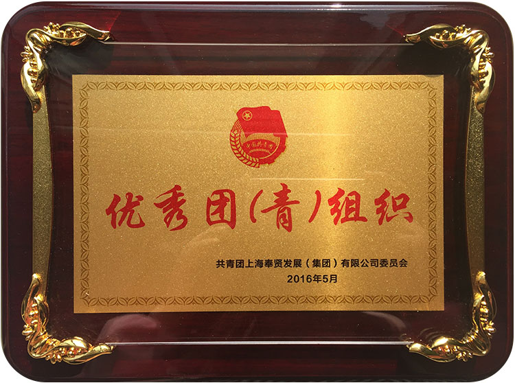 優秀糰(tuan)青組織(zhi).JPG