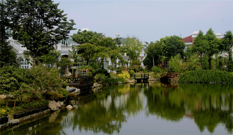 59155017a16d0.jpg 1.jpg