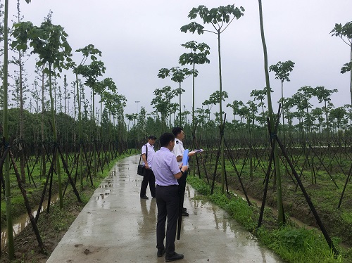 5ef7e50bc5f6c.jpg 市林(lin)業(ye)站實地(di)檢(jian)査(zha)1.jpg