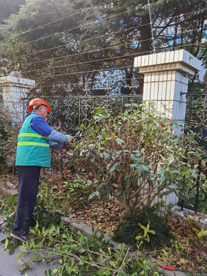 602f253b262fd.png 圖片(pian)2.png